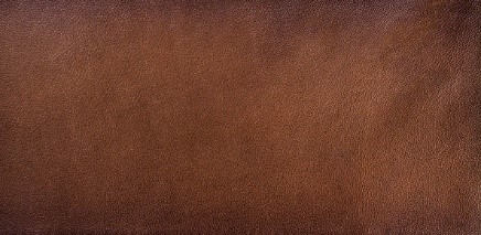 brain tanned leather